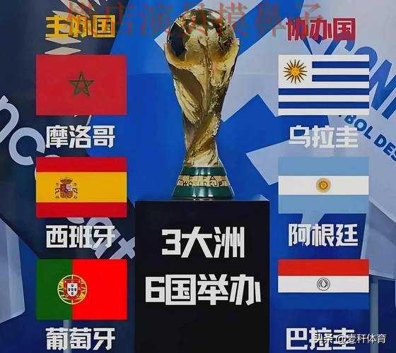 世界杯竞猜网站揭秘：访问方式+直播全指南 - 世界杯高清直播