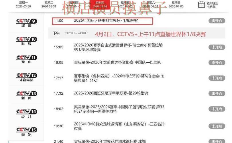 盘点世界杯买球平台：从访问方式到直播观看全流程解析 - 世界杯高清直播