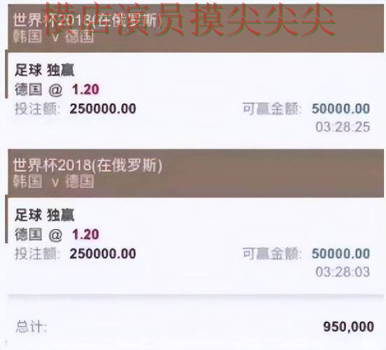世界杯投注平台实测对比：真实体验全指南 - 世界杯数据