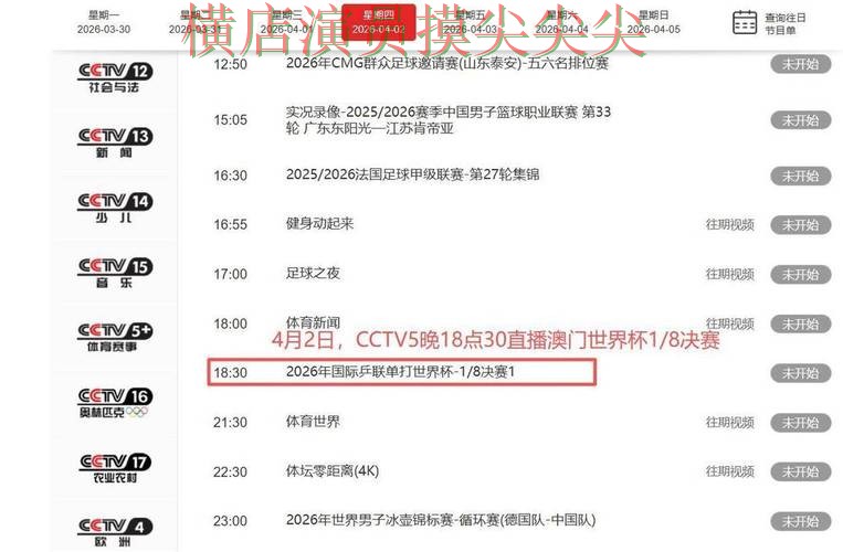 世界杯竞猜网站整理合集：覆盖玩法指南+直播与入口方式 - 世界杯赛事中心