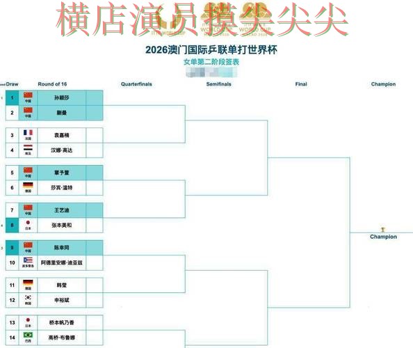 世界杯投注平台实战拆解：聚焦数据分析与赛事直播体验 - 世界杯实时直播